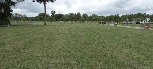 Imagen 2 de 12 de Venta-terreno -pilar- Santo Tomas-interno