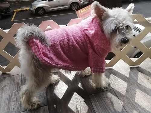 Imagen 4 de 9 de Bata De Baño Con Gorro Para Perro T1 Varios Colores Dogmania