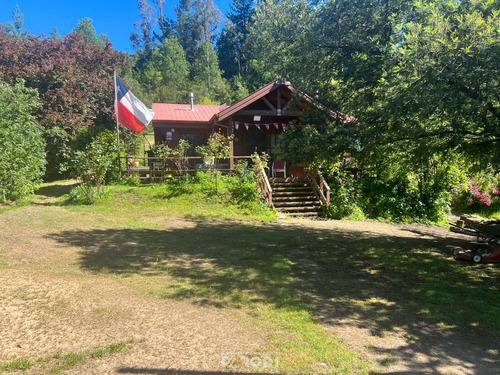 El Avellano, Camino A Cancha Los Montero, Comuna De Florida.