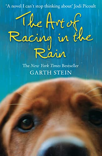 Libro The Art Of Racing In The Rain De Stein Garth  Harper C
