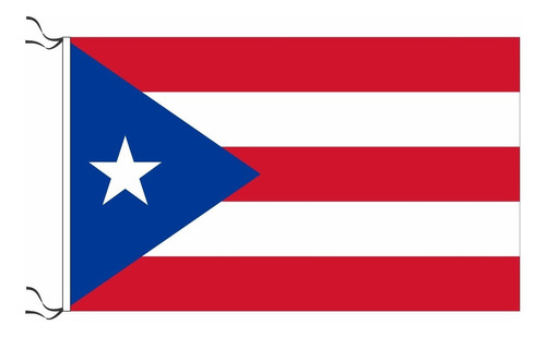 Bandera De Puerto Rico 30 X 45 Cm Oficial Refuerzo Y Sogas