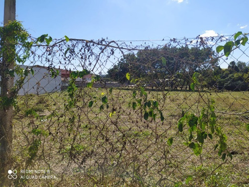 Imagem 2 de 6 de Terreno - Te00256 - 68099307