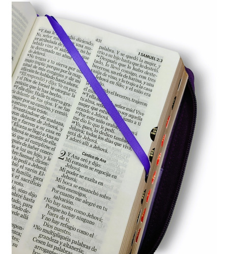 Imagen 5 de 9 de Biblia Juvenil Compacta Letra Grande 11 Pt Morado Duotono