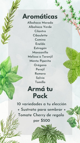 Imagen 4 de 8 de Semillas Huerta Y Aromáticas - A Elección - De Estación