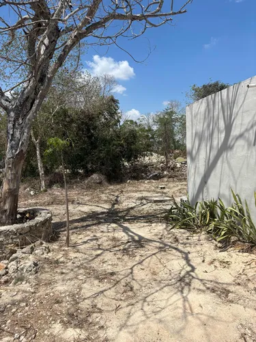 Casa De Dos Recámaras Y Un Baño, Amplio Terreno