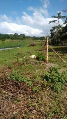 Imagem 1 de 6 de Lote Na Praia Com Escritura E Área De 289m² 5601e