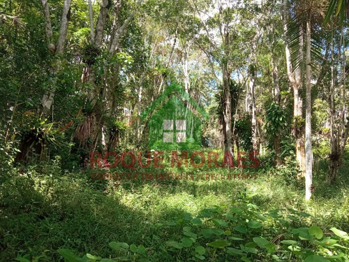 Imagem 19 de 30 de Sítio Medindo 77.000 M² Em Juquitiba Sp Ref.: 0934