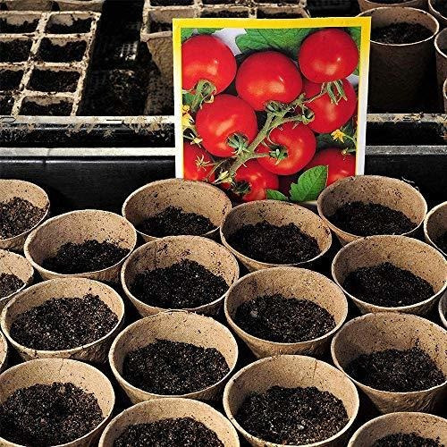 Imagen 4 de 9 de M-aimee Plant Starter Turba Macetas, Macetas Biodegradables