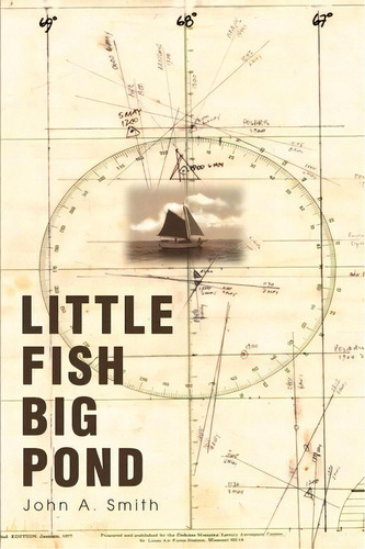 Little Fish Big Pond, De John A Smith. Editorial Iuniverse, Tapa Blanda En Inglés