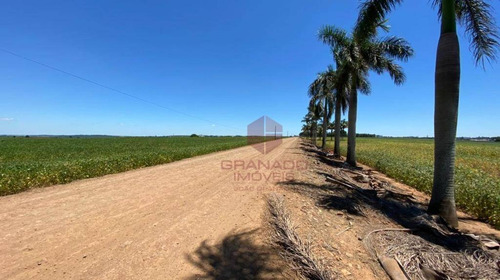 Imagem 10 de 10 de Excelente Área De 16 Alqueires, Com Potencial Valorização Em Região De Grande Desenvolvimento, Próximo Ao Tecnoparque De Maringá. - Si0003