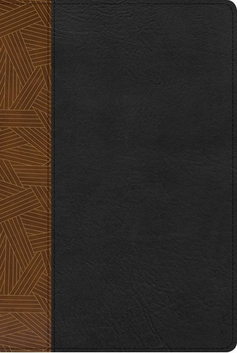 Biblia Rvr1960 Arcoiris Tostado/negro Símil Piel Índice 10pt