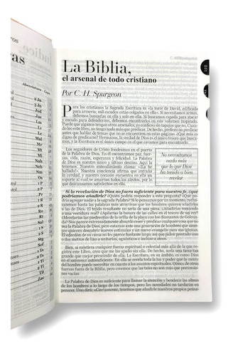 Imagen 5 de 9 de Biblia Rvr1960 Letra Grande Tapa Dura Rosa Floral Indices