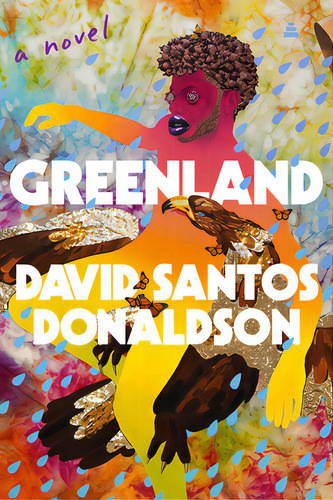 Greenland, De Donaldson, David Santos. Editorial Amistad Pr, Tapa Dura En Inglés