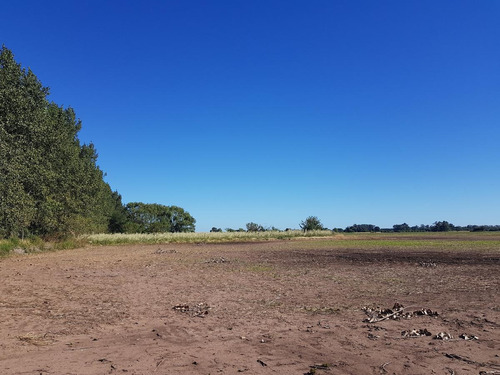 Imagen 2 de 5 de Terreno - Zarate