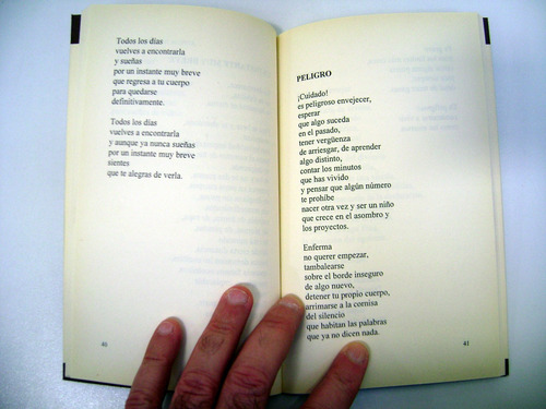 La Ventana Lorenzo Facorro Poesia Vinciguerra Usado Ok Boedo (Usado)