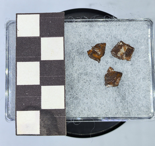 Mineral Raro Lotes Meteorito Bacubirito Octaedrita Autentica (Usado)