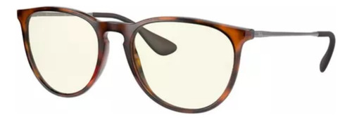 Lentes De Sol Ray - Ban Erika Classic Proteccion Uv