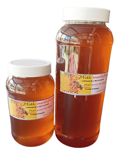 Miel Pura De Abeja 100% Natural Y Orgánico De Chiapas 2.2kg