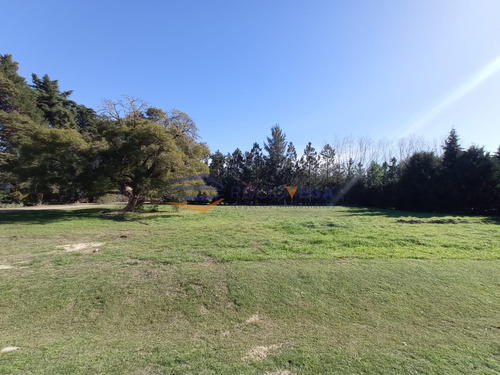 Lote En Venta En Country San Diego Moreno