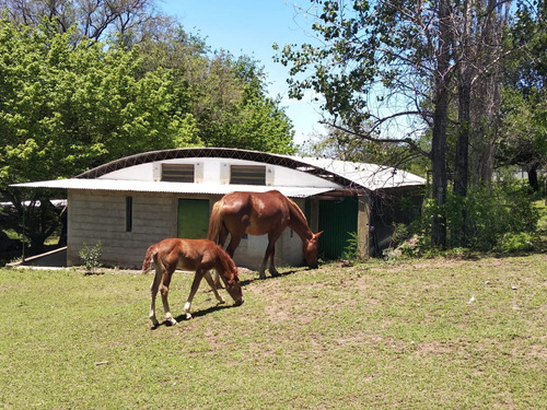 Venta Galpon En Rio Ceballos--3.5000  De Terreno!!