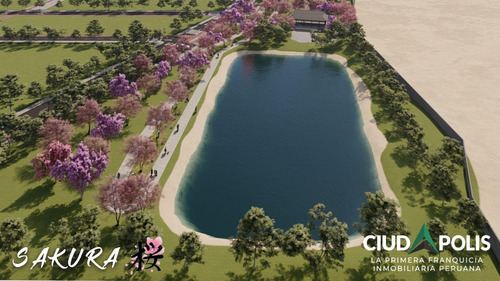 Imagen 13 de 13 de Terrenos En Huaral - Condominio Casas De Campo