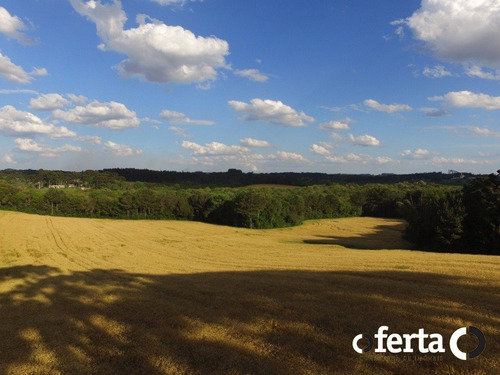 Imagem 1 de 14 de Chacara - Tiete - Ref: 573 - V-573