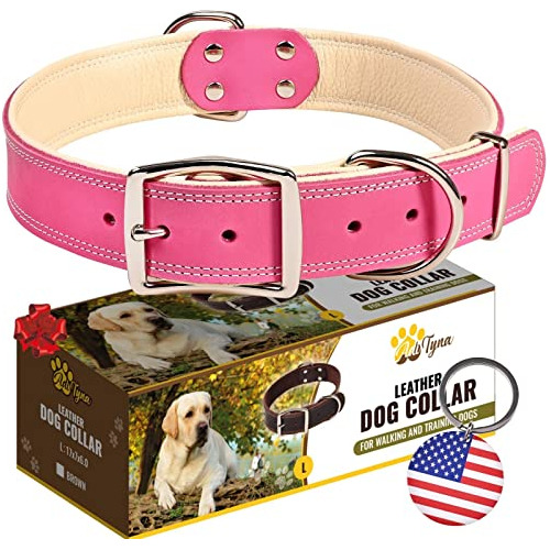 Collar Perro De Cuero Premium, Acolchado Cuero Suave.