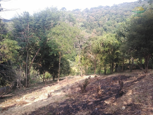 Imagem 15 de 20 de Chácara À Venda Em Mairiporã Sp - 0142 - 34968636