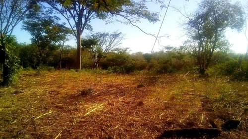 Imagen 3 de 12 de 30 Mzs Diriamba - Carazo