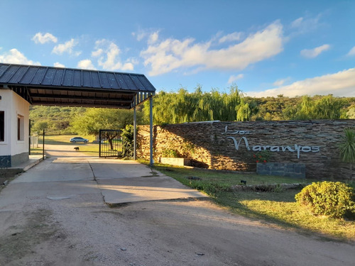 Terreno En Venta En Juana Koslay