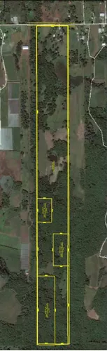 Chácara Com 24 Hectares Em Farroupilha Linha Palmeiro