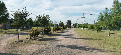 Imagen 3 de 9 de Venta Terreno Barrio Las Casuarinas