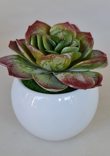 Variedad Suculenta Artificial Con Maceta Mini De Cerámica