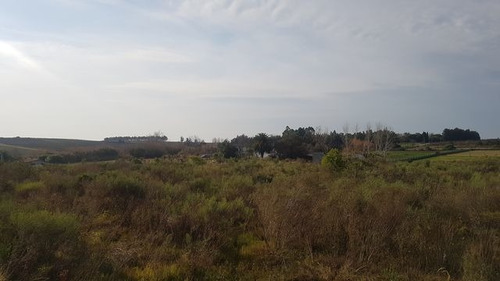 Amplio Terreno De 4,2 Há De 75x570 M. Chacra, Vivienda, Etc.