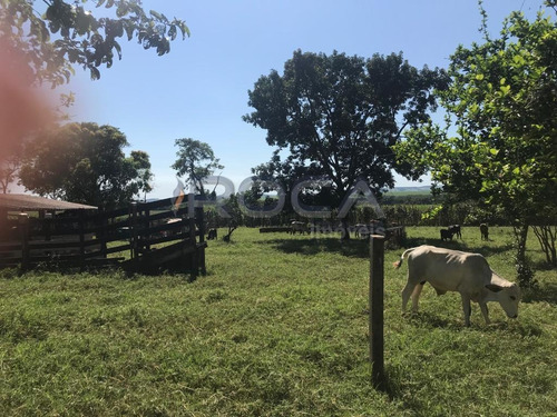 Venda De Rural / Chácara Na Cidade De São Carlos 20389