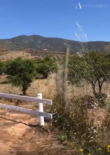 Sitio En Venta En Melipilla