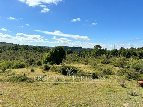 Oportunidad De Inversión, Campo Con 1.700 M De Ori...