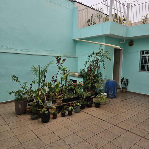 Terreno Com 2 Casas Individuais Ótima Localização