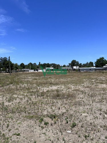 Imagen 11 de 13 de Terrenos En Venta El Pinar Vista Sobre Interbalnearia. (financia)
