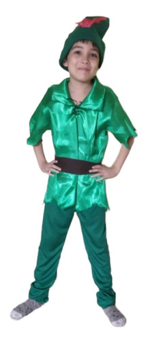 Fantasia Peter Pan Infantil