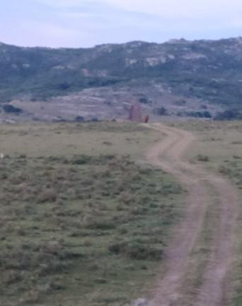Imagen 3 de 4 de Terreno - Maldonado
