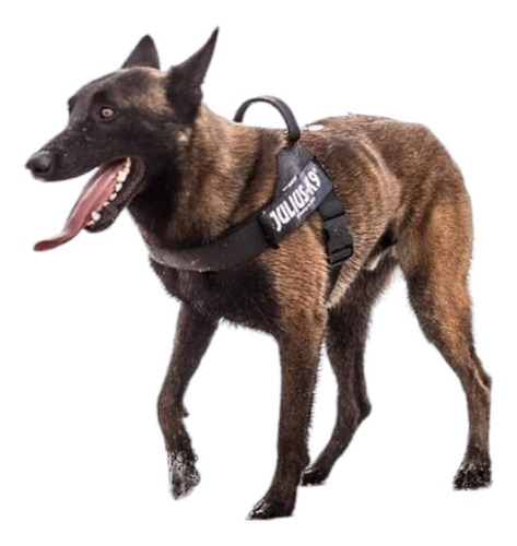 Arnés Belt Julius K9 Para Perros Talla 0 58 A 76 Cm