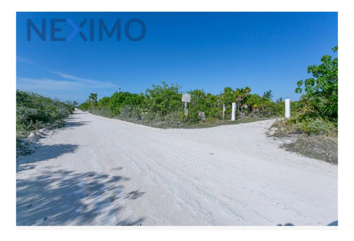 Imagen 8 de 20 de Terreno En Venta En Isla Blanca
