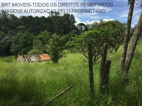 Imagem 5 de 19 de Chacara - Ch00276 - 33515589