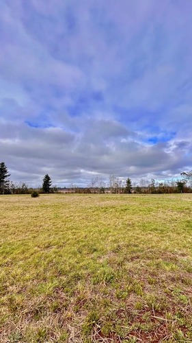 Parcela De 5.000 M2 Vista Río Cruces, San José Mariquina