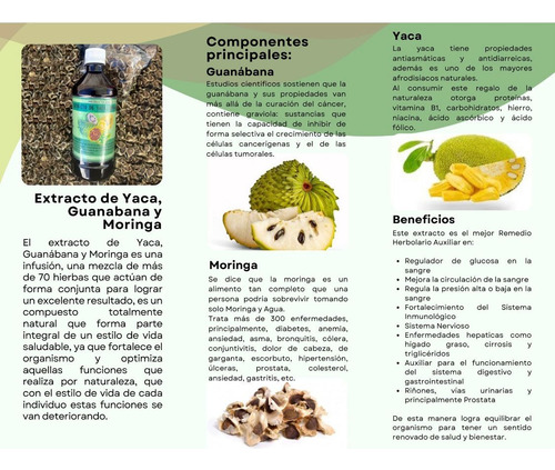 Extracto De Moringa Adicionado Con Hierba Yaca Y Guanábana