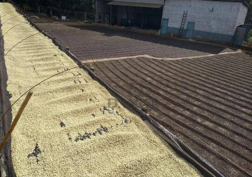 Sítio À Venda, 242000 M² Por R$ 1.750.000,00 - Zona Rural - Aguaí/sp - Si0057