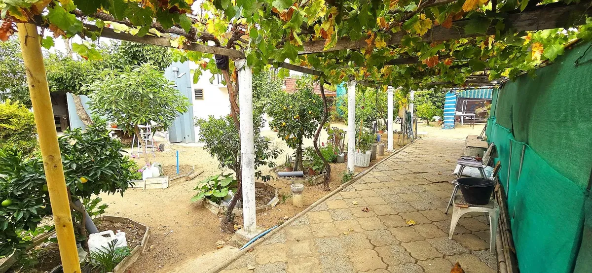 Imagen 3 de 15 de Tranquilidad | Casa Y Gran Terreno 679mts | Av. Valparaíso -