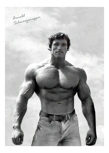 Poster Atleta Clásico Fisiculturista Arnold Schwarzenegger