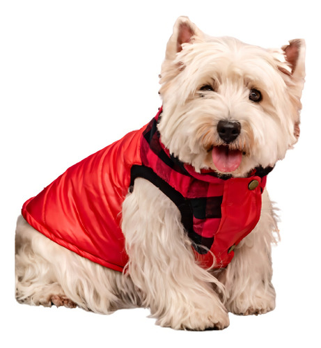 Perro Abrigado Con Chaleco Canchero De Invierno Campera T5